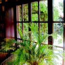 Holzfenster_mit_Sprossen